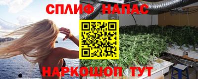 PSILOCYBIN Заводоуковск