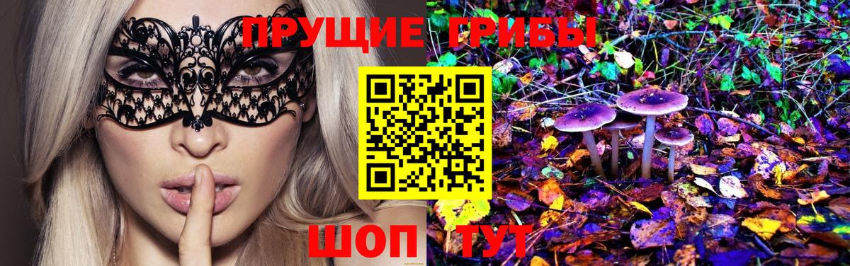 Псилоцибиновые грибы GOLDEN TEACHER  Галлюциногенные грибы ЛСД  Вход с VPN  Иркутск 